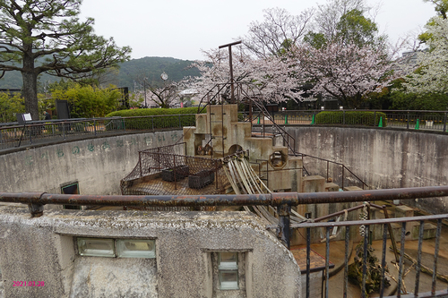 20210328 zoo13.jpg
