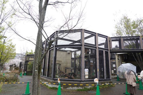 20210328 zoo18.jpg