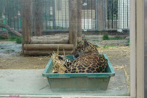 20210328 zoo19.jpg
