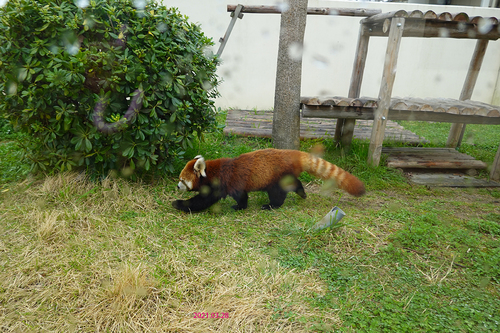 20210328 zoo21.jpg