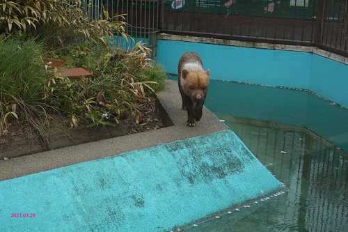 20210328 zoo24.jpg