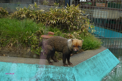 20210328 zoo25.jpg