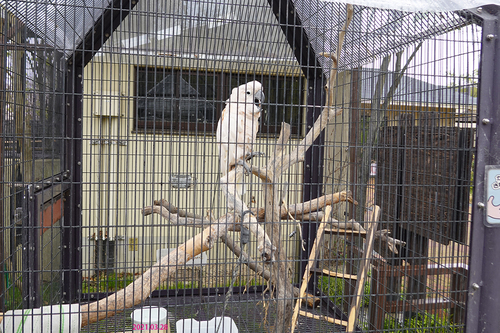 20210328 zoo27.jpg
