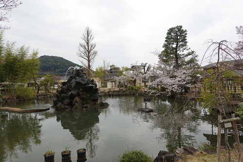 20210328 zoo3.jpg