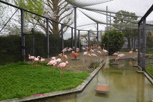 20210328 zoo33.jpg