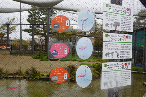 20210328 zoo34.jpg