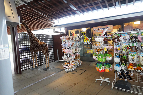 20210328 zoo35.jpg