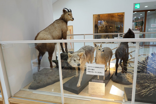 20210328 zoo38.jpg