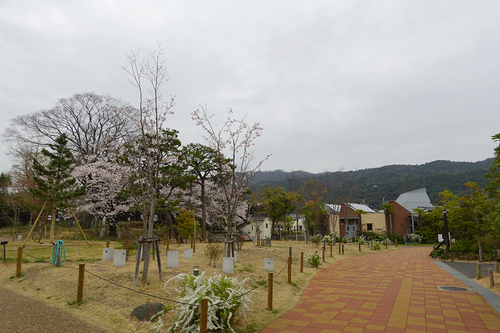 20210328 zoo4.jpg