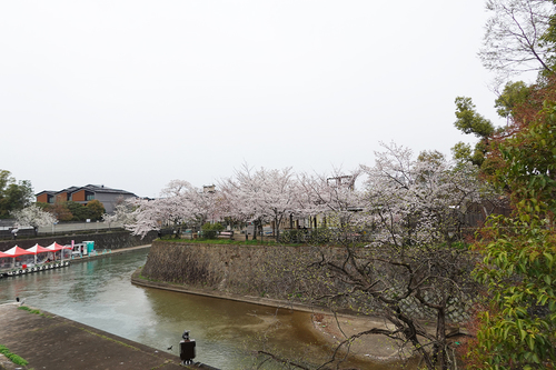 20210328 zoo7.jpg