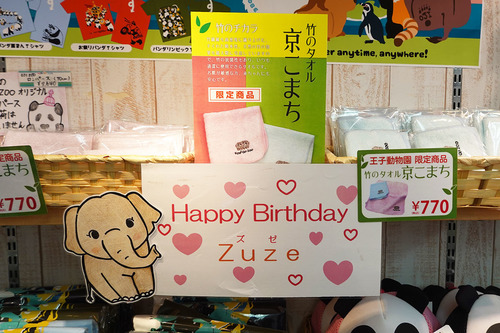20210405 zuze birthday5.jpg