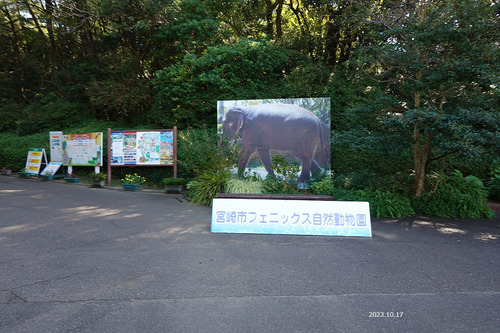 20231017 1009 zoo.jpg