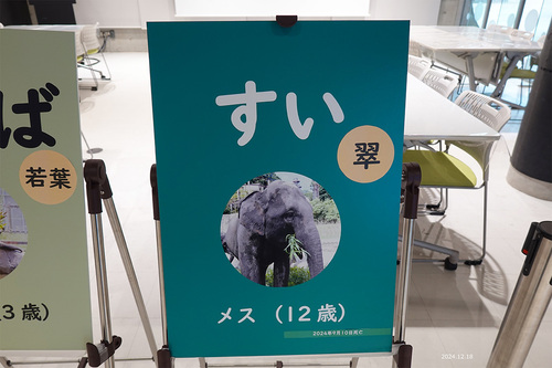 20241218 zoo 14-6.jpg