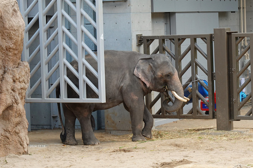 20241218 zoo 4-2.jpg