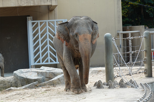 20241218 zoo 4-26.jpg